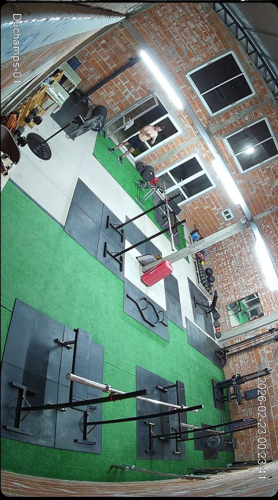 Hainze Workout - gimnasio